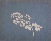 Philipp Otto Runge Medlar Sprig oil painting